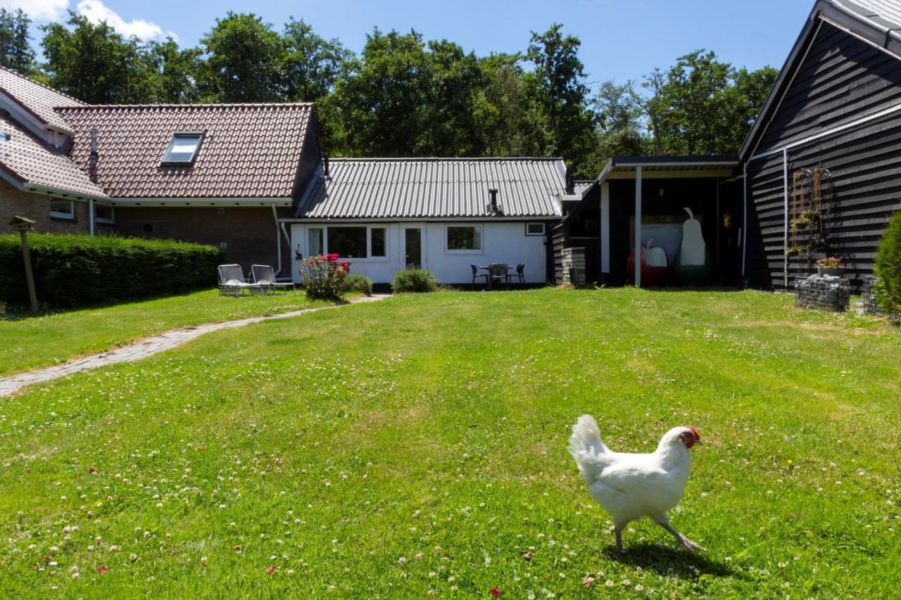 Bed & Breakfast Little Creek Renesse