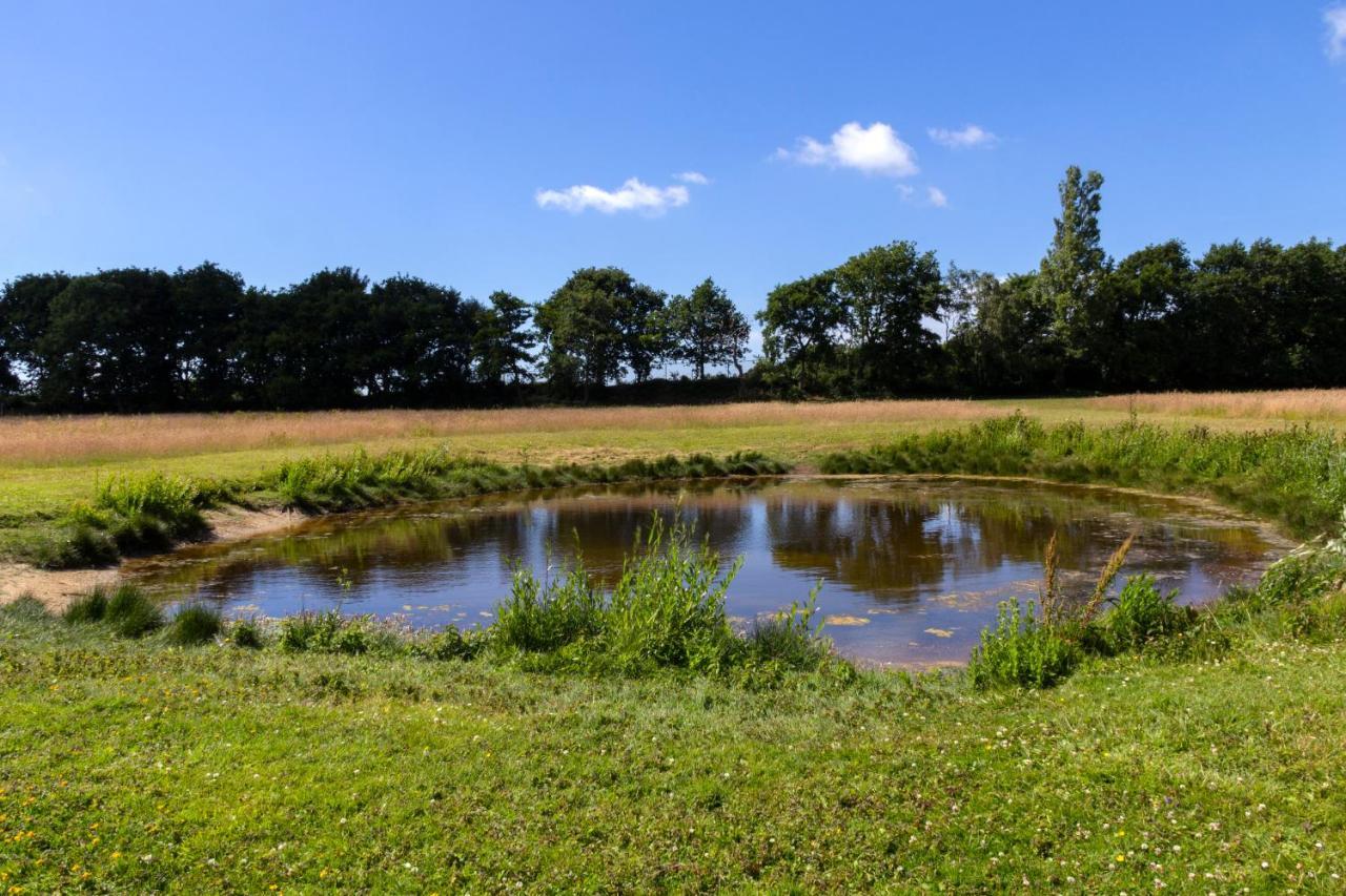 Little Creek