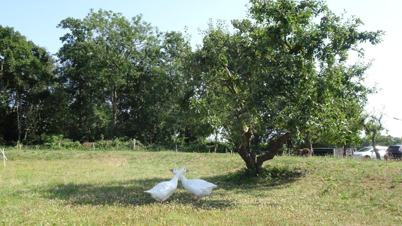 Little Creek Bed & Breakfast *