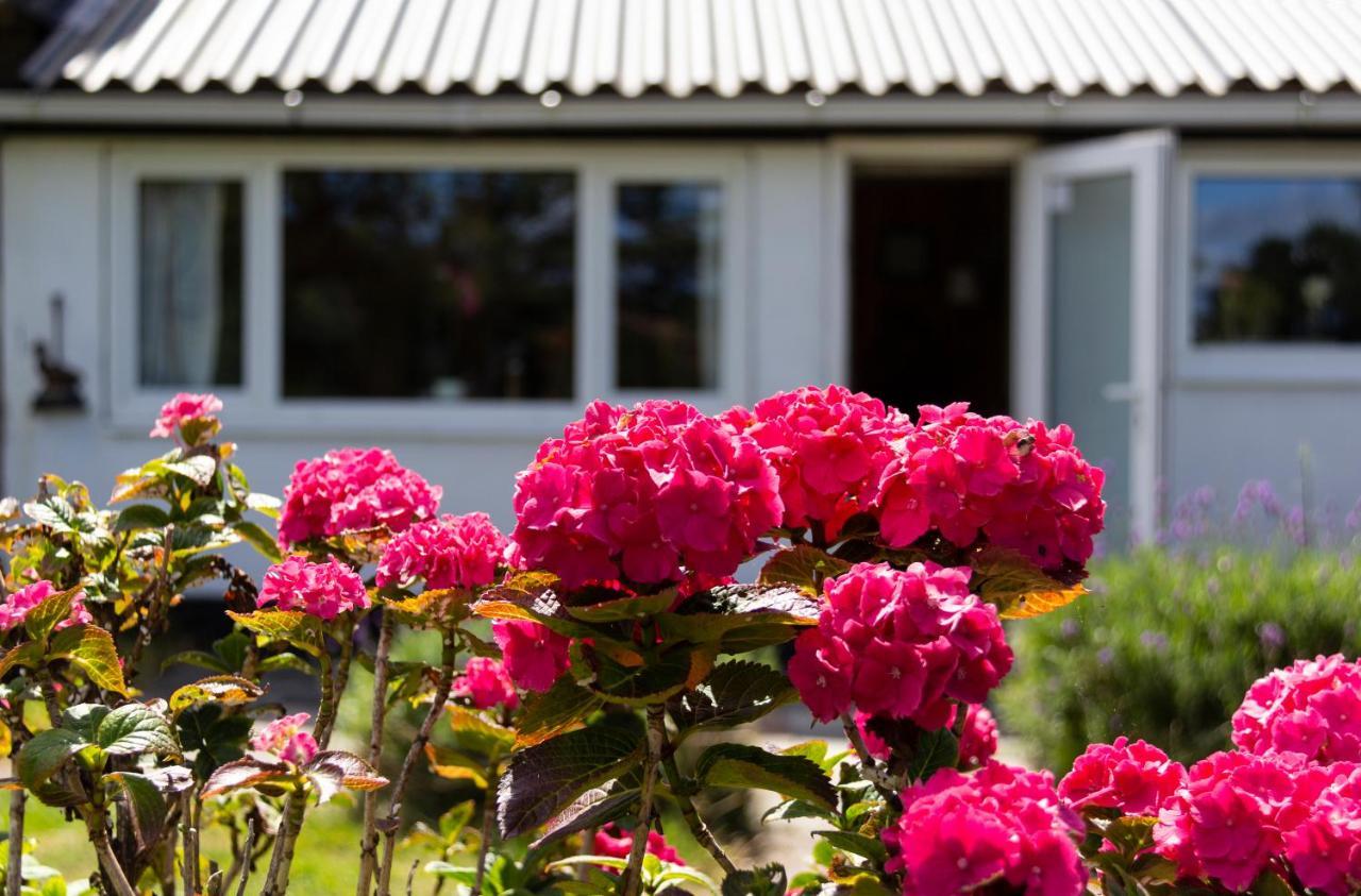 Little Creek Bed & Breakfast Renesse